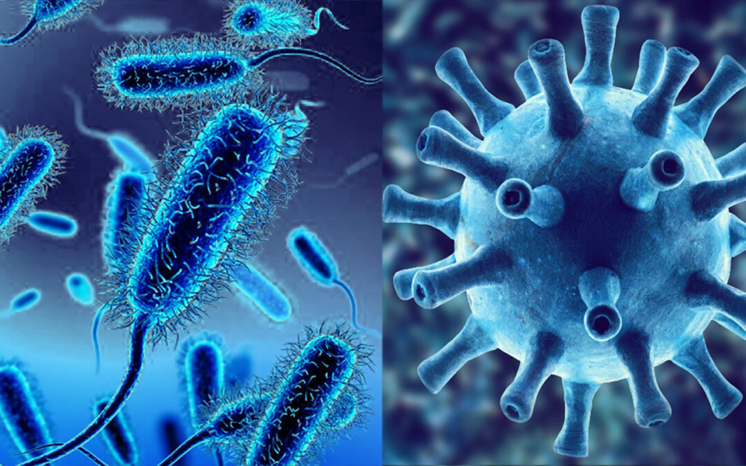 Qual é la differenza tra virus e batteri?